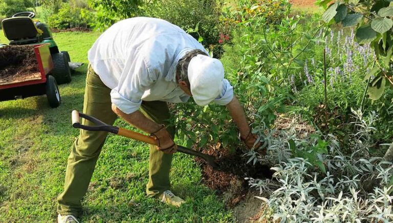 21 Marketing Ideas for a Landscaping Business That Actually Book Jobs