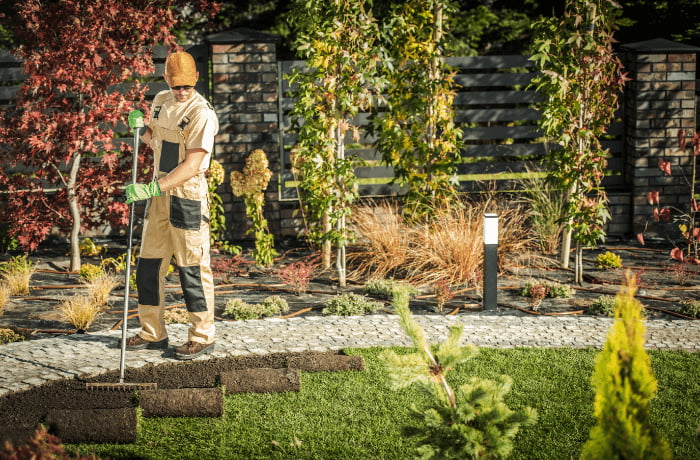 SEO for Turf Contractors: Rank for the Install, Not the Cost Guide
