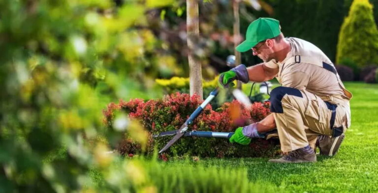 Landscaping SEO: How to Rank Locally and Book More Jobs