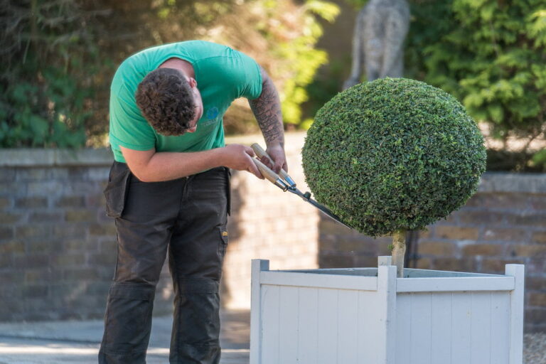 How to Make a Landscaping Website: The 8 Steps, in the Order They Matter