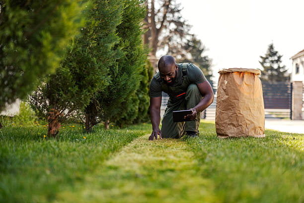 Landscaper Web Design That Books Estimates, Not Just Compliments