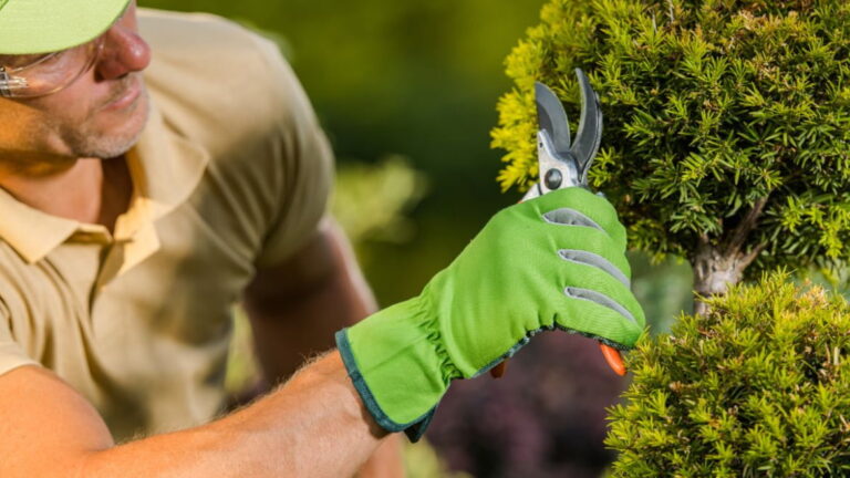 Best Landscaping Web Design Companies: How to Tell Them Apart Before You Pay