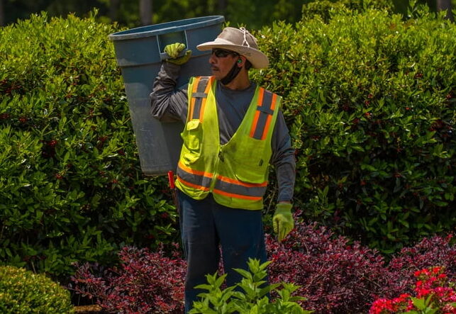 How to Write SEO Copy for Landscaping That Actually Books Jobs