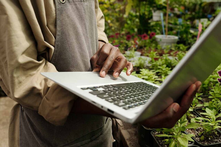 SEO for Landscaping Businesses: The Complete Guide to Ranking Local