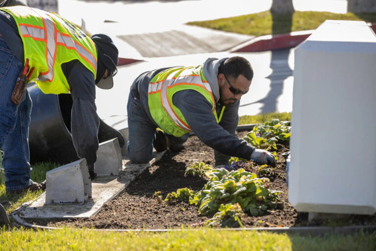 Google Ads for Landscaping: What a Booked Job Actually Costs