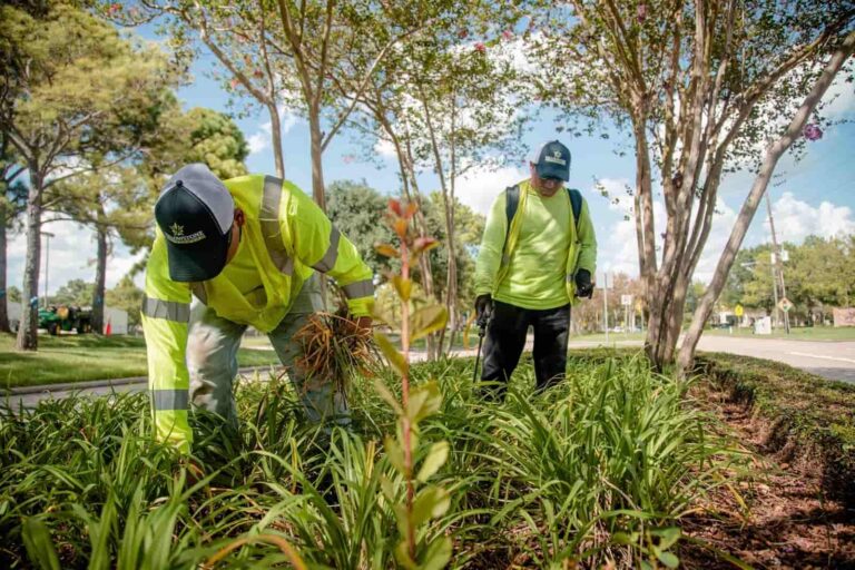 Landscaping Local Services Ads Cost Per Lead: Real Benchmarks for 2026